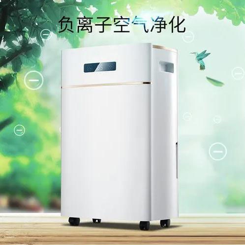 開學(xué)季寢室潮濕臟亂，安詩曼除濕機為家長擺平擔憂的潮濕問題