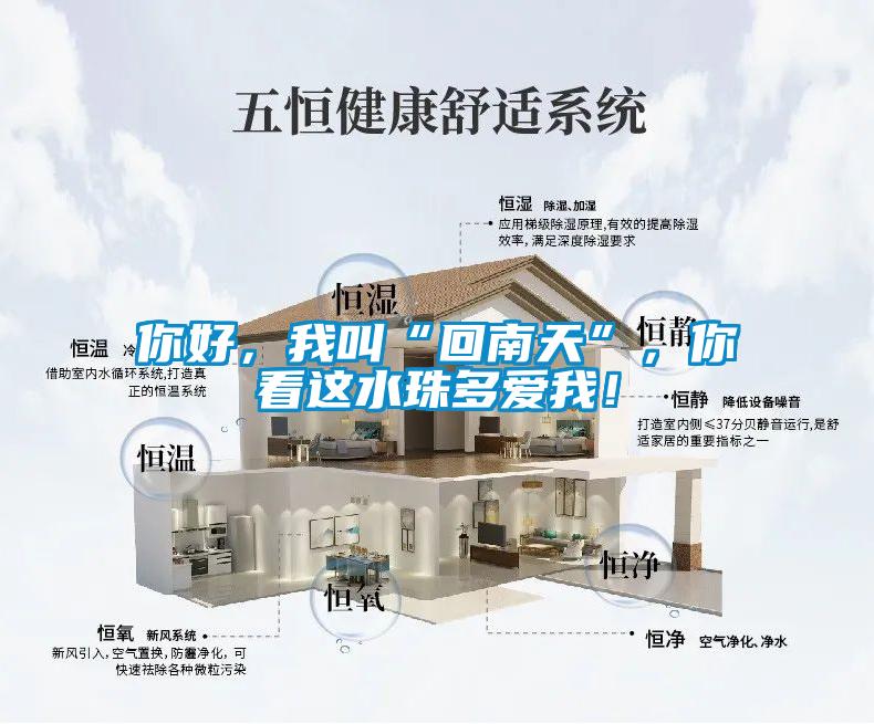 你好，我叫“回南天”，你看這水珠多愛我！