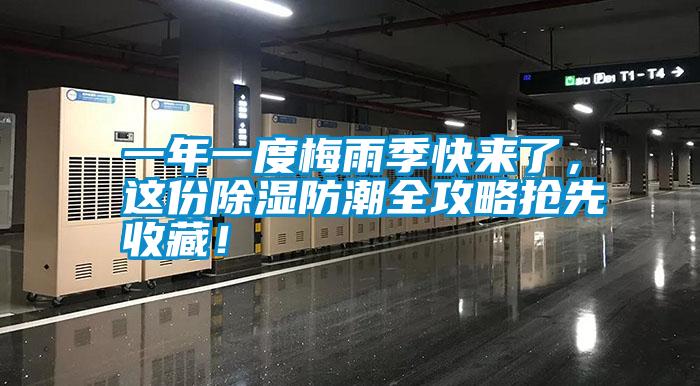 一年一度梅雨季快來了，這份除濕防潮全攻略搶先收藏！
