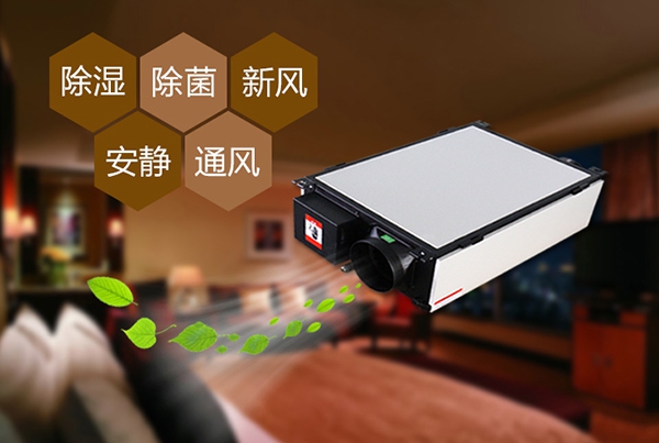 為什么冷庫除濕機會出現結霜的情況？