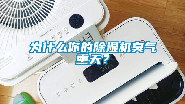 為什么你的除濕機臭氣熏天？