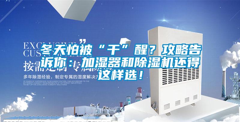 冬天怕被“干”醒？攻略告訴你：加濕器和除濕機還得這樣選！