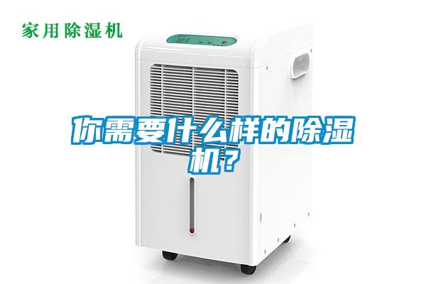 你需要什么樣的除濕機？