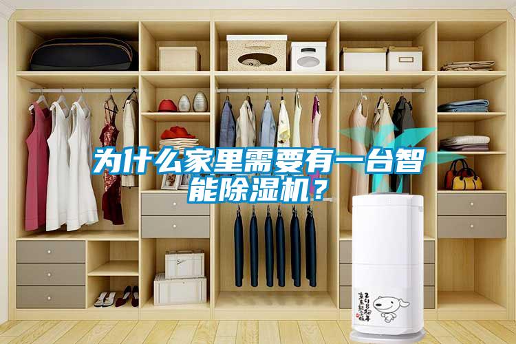 為什么家里需要有一臺智能除濕機？