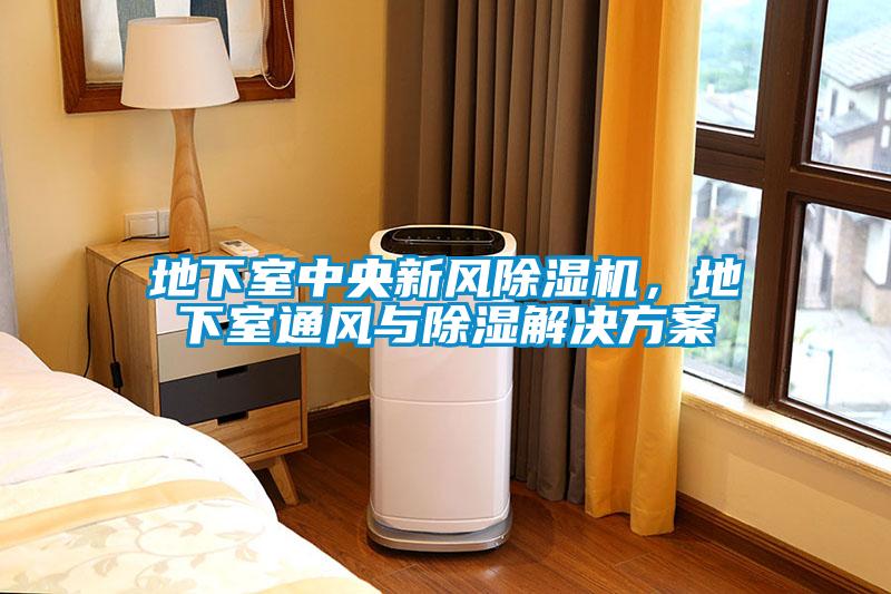 地下室中央新風除濕機，地下室通風與除濕解決方案