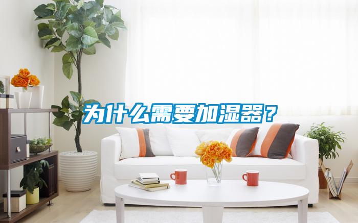 為什么需要加濕器？