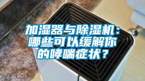 加濕器與除濕機：哪些可以緩解你的哮喘癥狀？