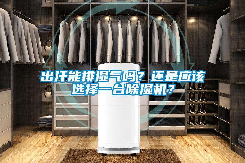 出汗能排濕氣嗎？還是應該選擇一臺除濕機？