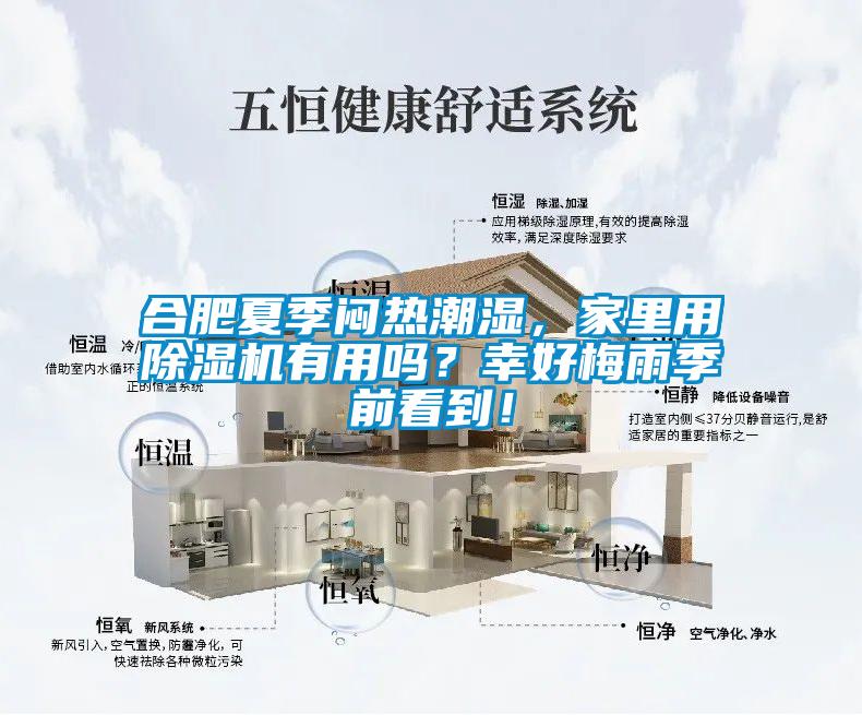 合肥夏季悶熱潮濕，家里用除濕機有用嗎？幸好梅雨季前看到！
