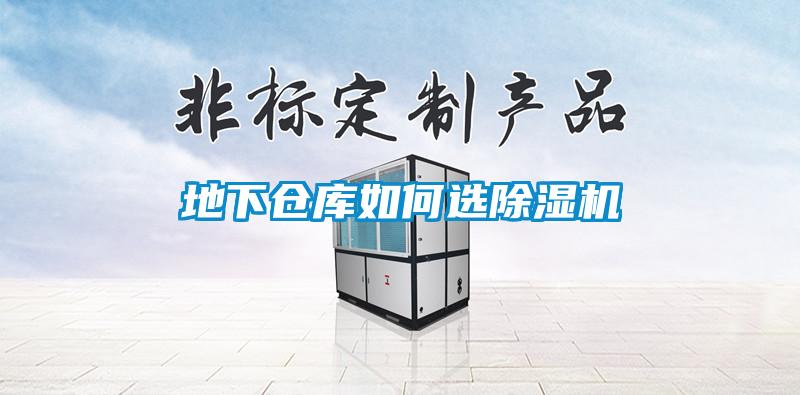 地下倉庫如何選除濕機(jī)