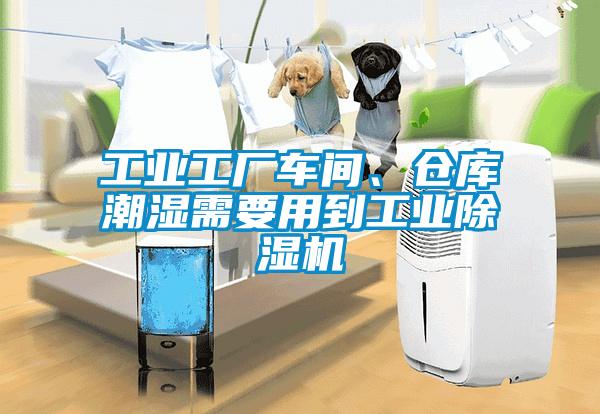 工業(yè)工廠車(chē)間、倉(cāng)庫(kù)潮濕需要用到工業(yè)除濕機(jī)
