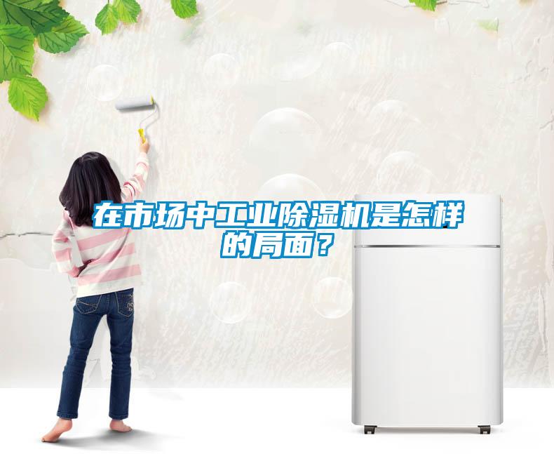 在市場中工業(yè)除濕機(jī)是怎樣的局面？