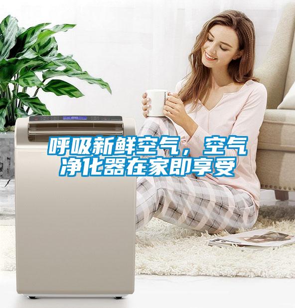 呼吸新鮮空氣，空氣凈化器在家即享受
