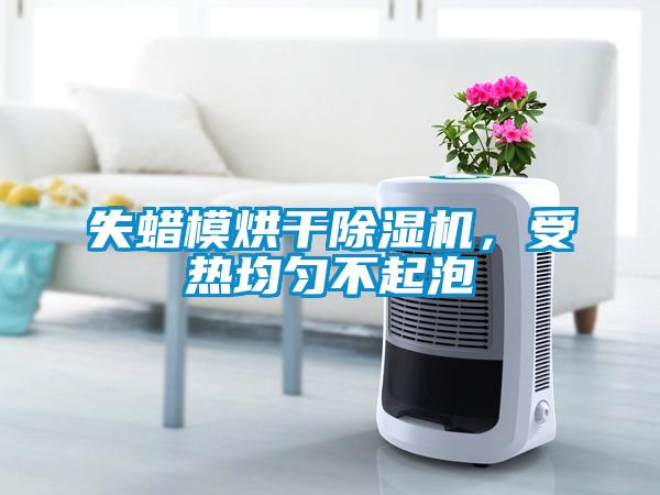 失蠟?zāi)：娓沙凉駲C(jī)，受熱均勻不起泡