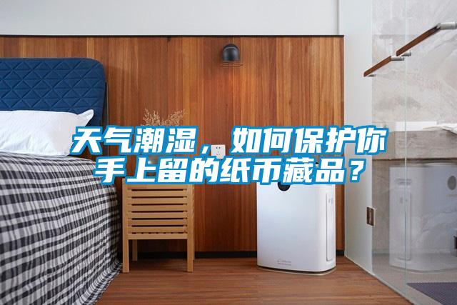 天氣潮濕，如何保護(hù)你手上留的紙幣藏品？