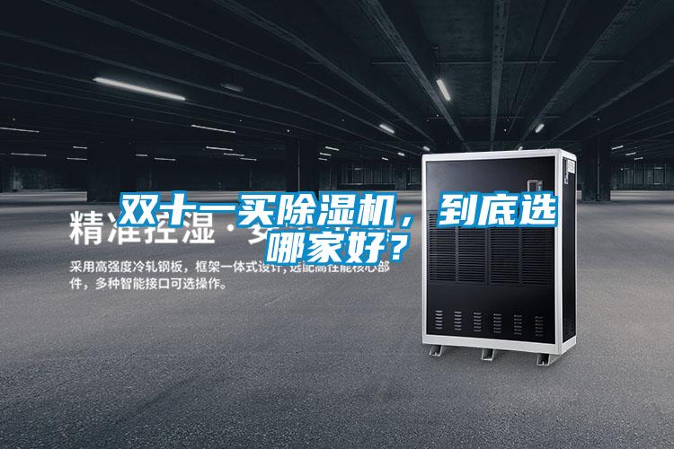 雙十一買(mǎi)除濕機(jī)，到底選哪家好？