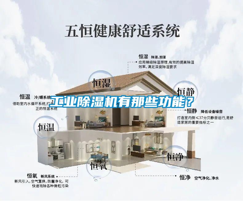 工業(yè)除濕機(jī)有那些功能？
