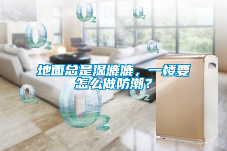 地面總是濕漉漉，一樓要怎么做防潮？
