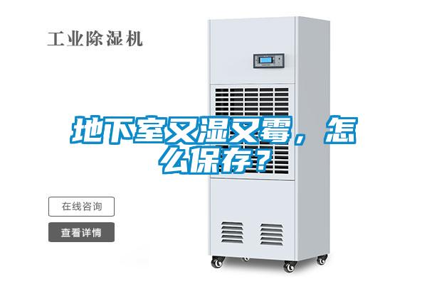 地下室又濕又霉，怎么保存？