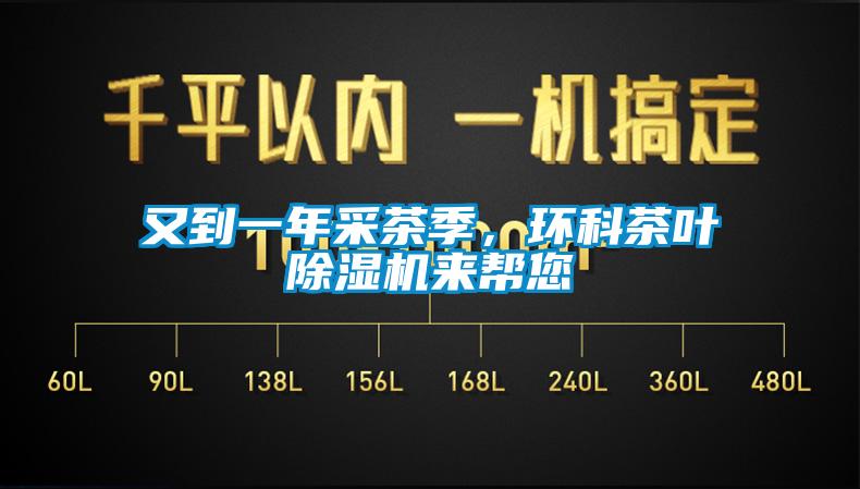 又到一年采茶季，環(huán)科茶葉除濕機(jī)來(lái)幫您