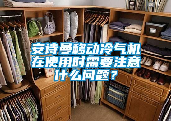 安詩(shī)曼移動(dòng)冷氣機(jī)在使用時(shí)需要注意什么問題？