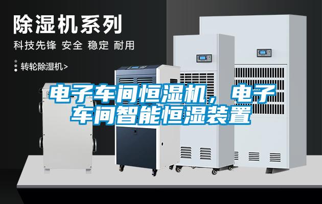 電子車間恒濕機，電子車間智能恒濕裝置