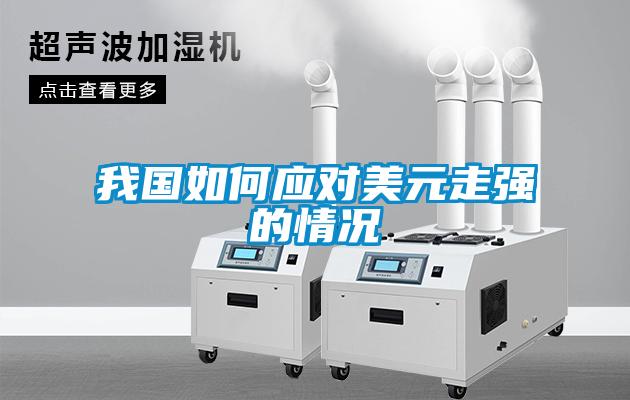 我國如何應(yīng)對美元走強的情況