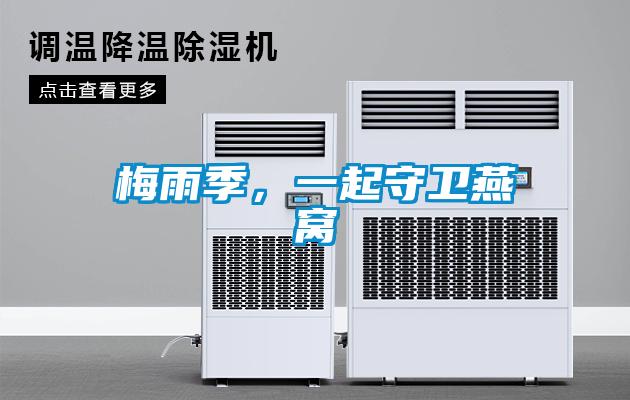 梅雨季，一起守衛燕窩