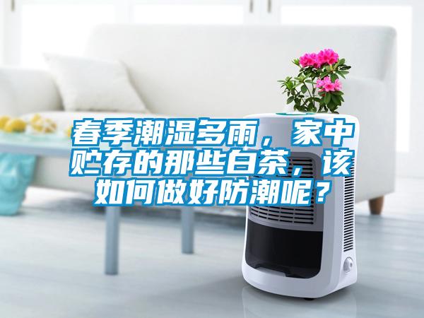 春季潮濕多雨，家中貯存的那些白茶，該如何做好防潮呢？