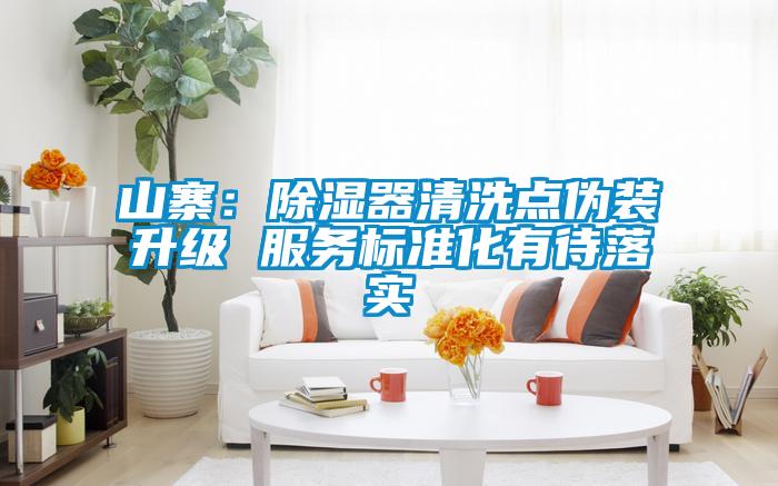 山寨：除濕器清洗點偽裝升級 服務(wù)標準化有待落實