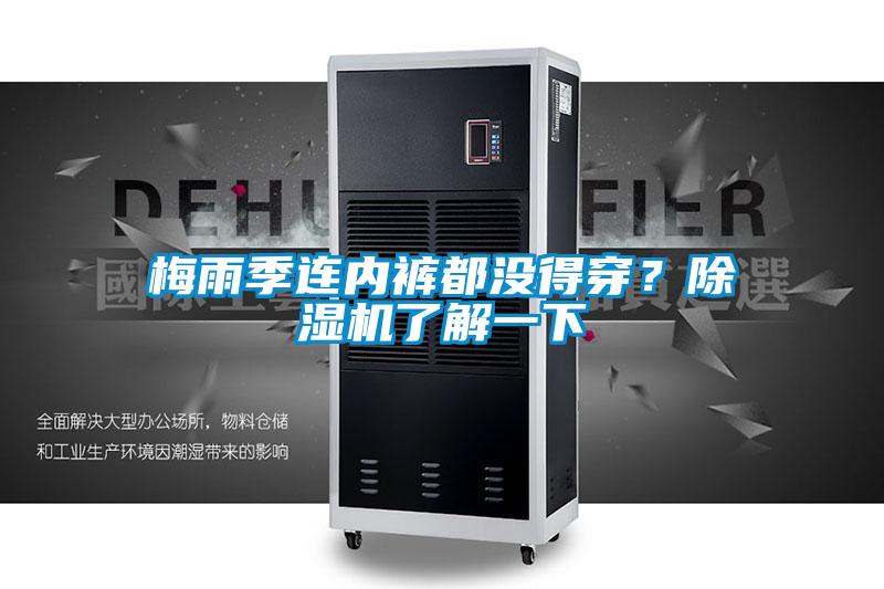 梅雨季連內褲都沒得穿？除濕機了解一下