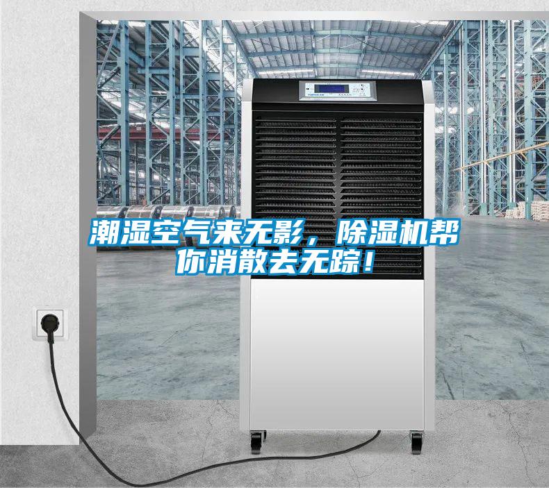 潮濕空氣來無影，除濕機幫你消散去無蹤！