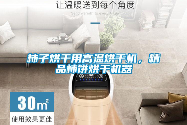 柿子烘干用高溫烘干機，精品柿餅烘干機器