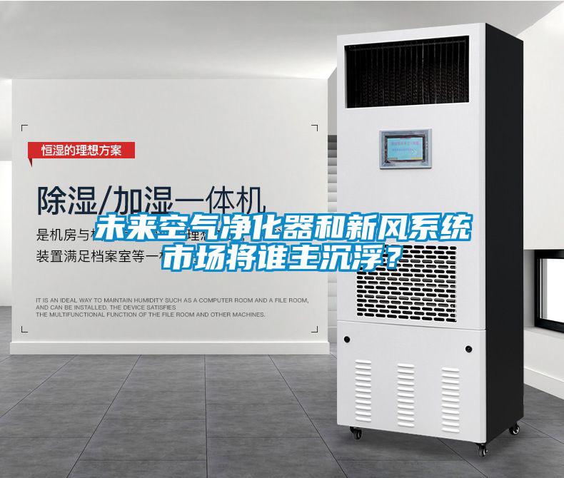 未來空氣凈化器和新風(fēng)系統(tǒng)市場將誰主沉浮？