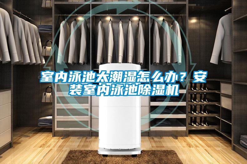 室內(nèi)泳池太潮濕怎么辦？安裝室內(nèi)泳池除濕機(jī)