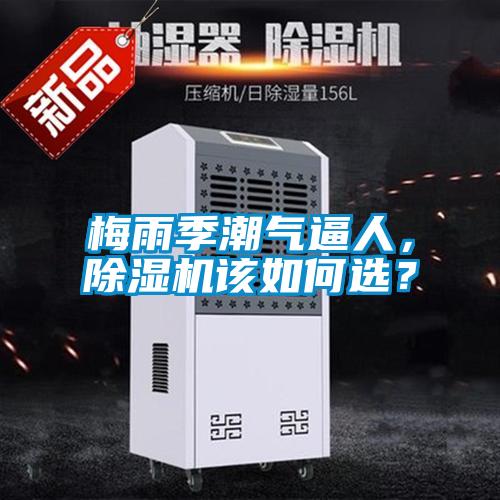 梅雨季潮氣逼人，除濕機該如何選？
