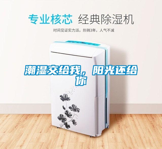 潮濕交給我，陽光還給你