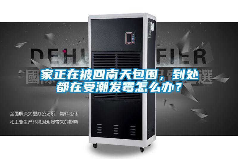 家正在被回南天包圍，到處都在受潮發(fā)霉怎么辦？