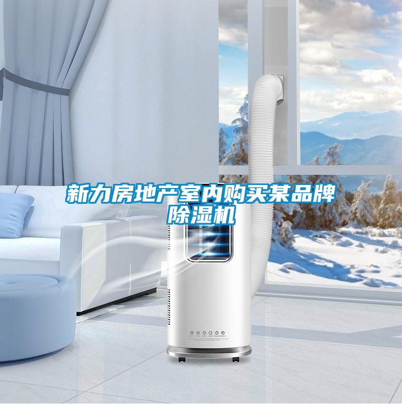 新力房地產(chǎn)室內(nèi)購買某品牌除濕機