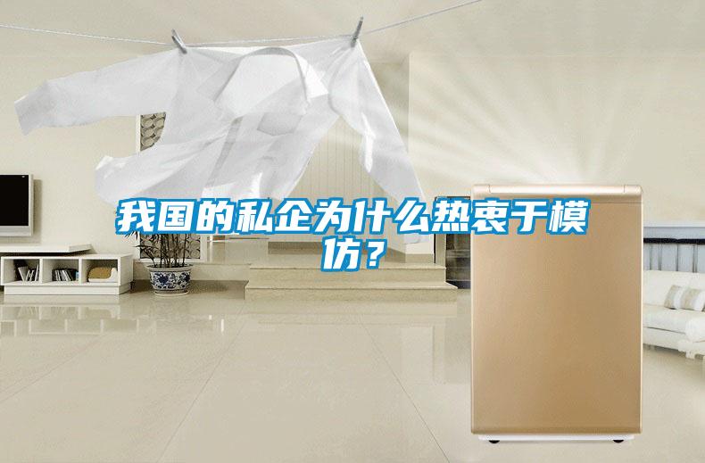 我國的私企為什么熱衷于模仿？