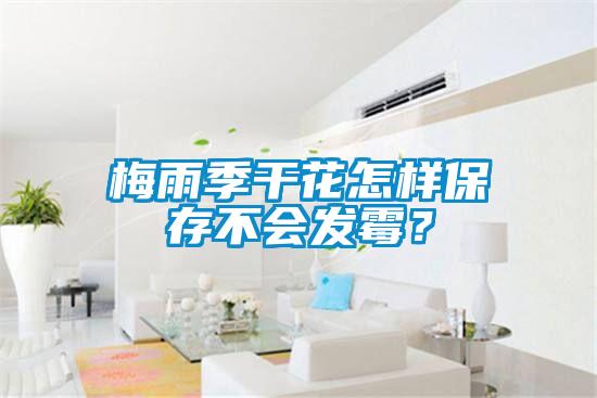 梅雨季干花怎樣保存不會發(fā)霉？