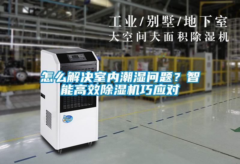 怎么解決室內(nèi)潮濕問(wèn)題？智能高效除濕機(jī)巧應(yīng)對(duì)