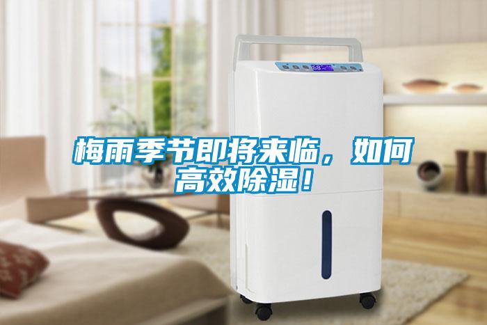 梅雨季節(jié)即將來(lái)臨，如何高效除濕！