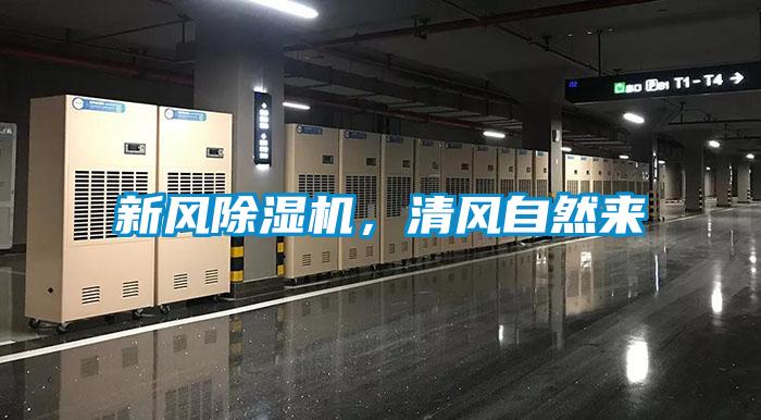 新風(fēng)除濕機(jī)，清風(fēng)自然來(lái)