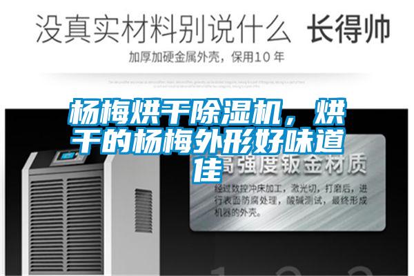 楊梅烘干除濕機，烘干的楊梅外形好味道佳