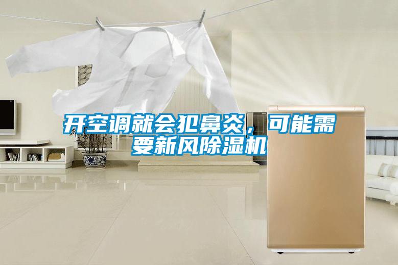 開空調(diào)就會犯鼻炎，可能需要新風除濕機