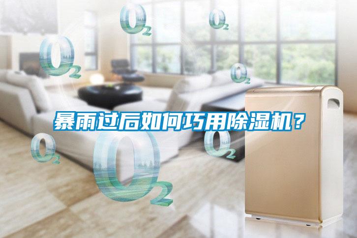 暴雨過(guò)后如何巧用除濕機(jī)？