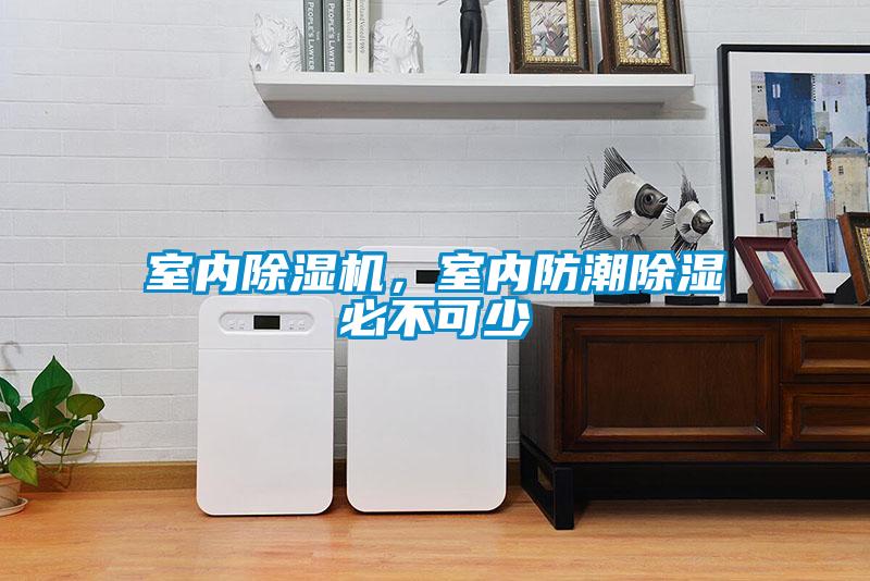 室內除濕機，室內防潮除濕必不可少