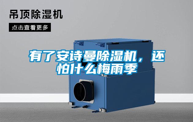 有了安詩曼除濕機,還怕什么梅雨季