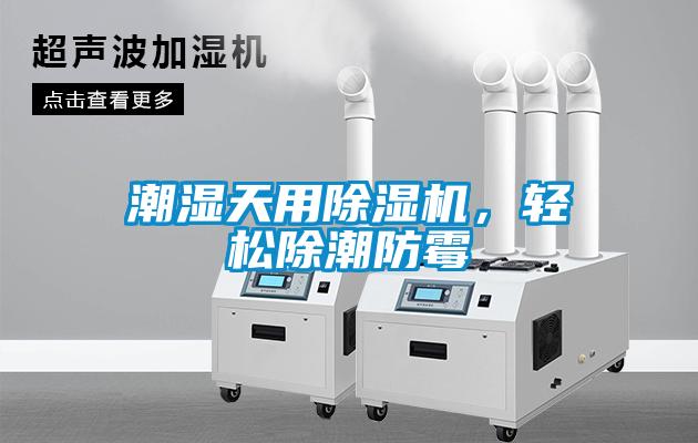 潮濕天用除濕機，輕松除潮防霉